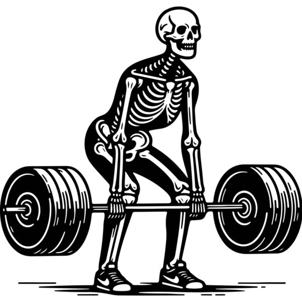 Varlk 154 Gym Thumbnail